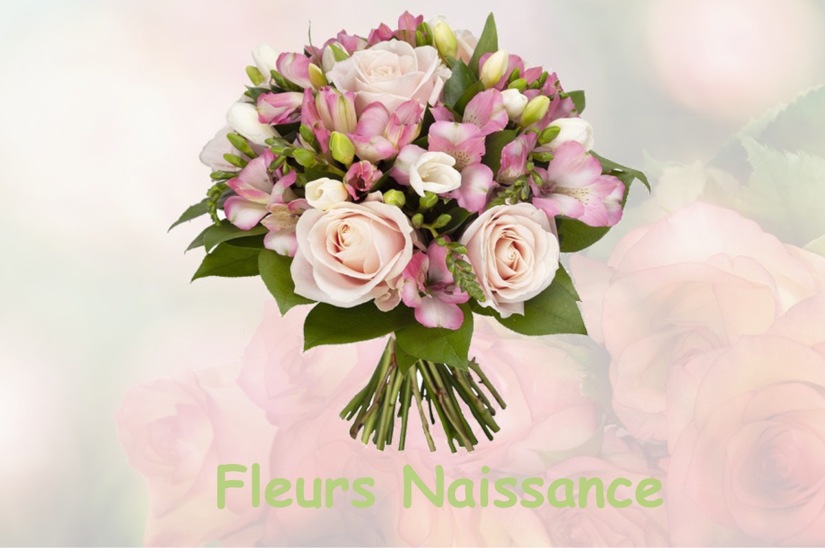 fleurs naissance LE-MESNIL-THERIBUS